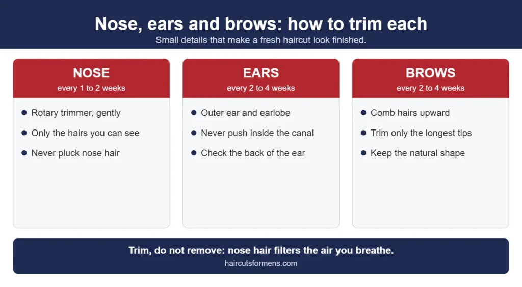 How to trim nose hair, ear hair and eyebrows: use a rotary trimmer just inside the nostril, trim ear hair on the outer ear only, and comb brows up before trimming long hairs