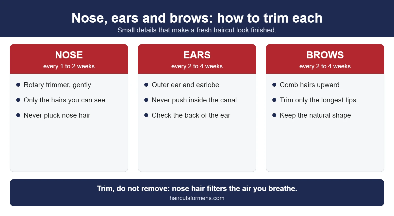 Best Nose, Ear and Eyebrow Trimmers for Men (2026): 10 Top-Rated Picks