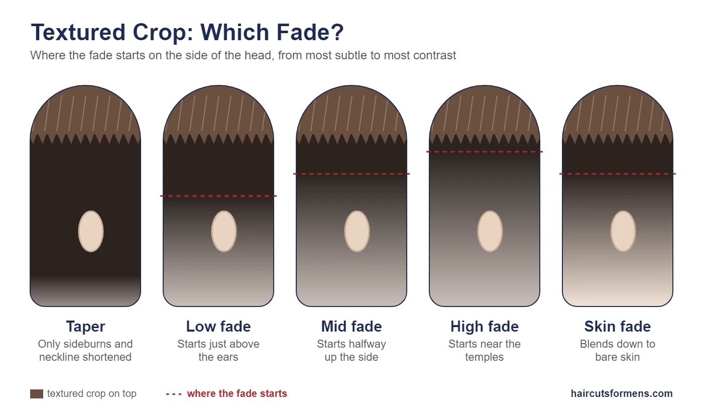 Textured crop fade types compared: taper, low fade, mid fade, high fade and skin fade, showing where each fade starts