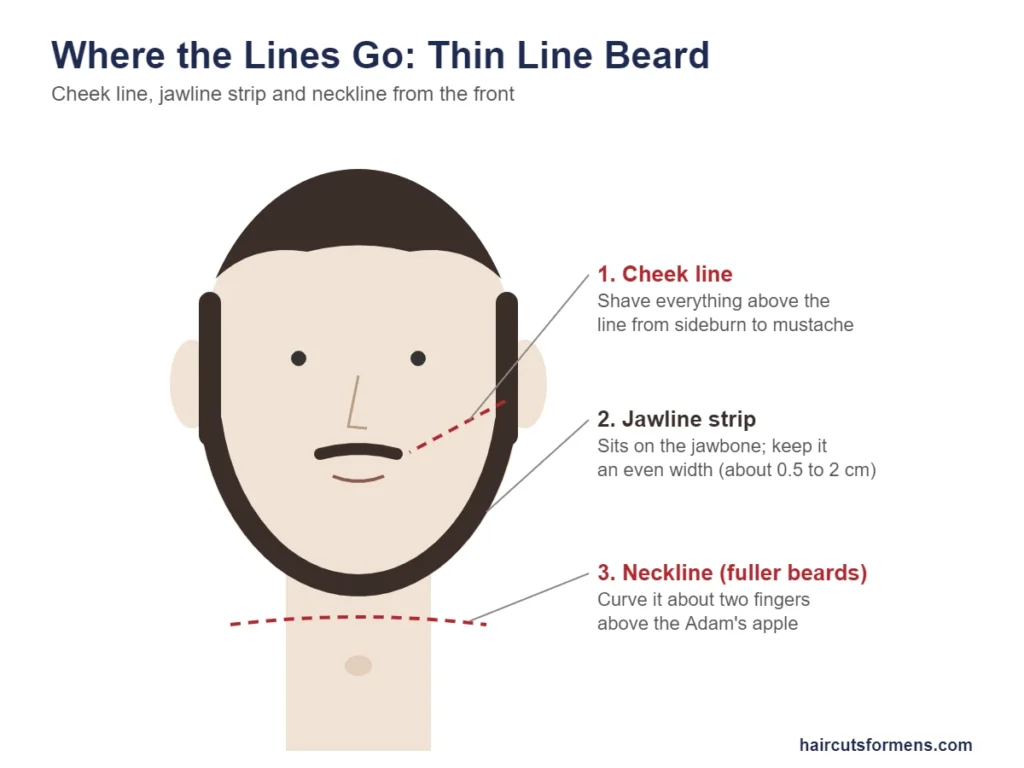 Diagram showing where the cheek line, jawline strip and neckline go on a thin line beard